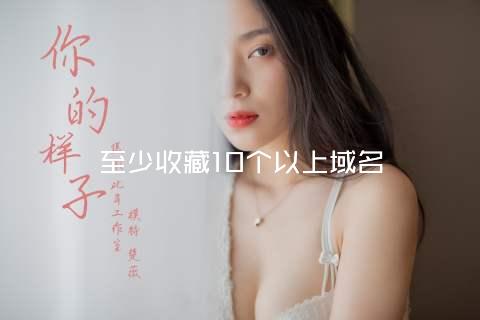 至少收藏10个以上域名